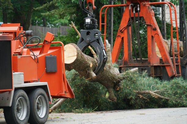 Best Lawn Irrigation Installation and Maintenance  in Lagunitas Forest Knolls, CA